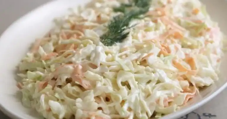 Nefis Coleslaw Salatası Tarifi