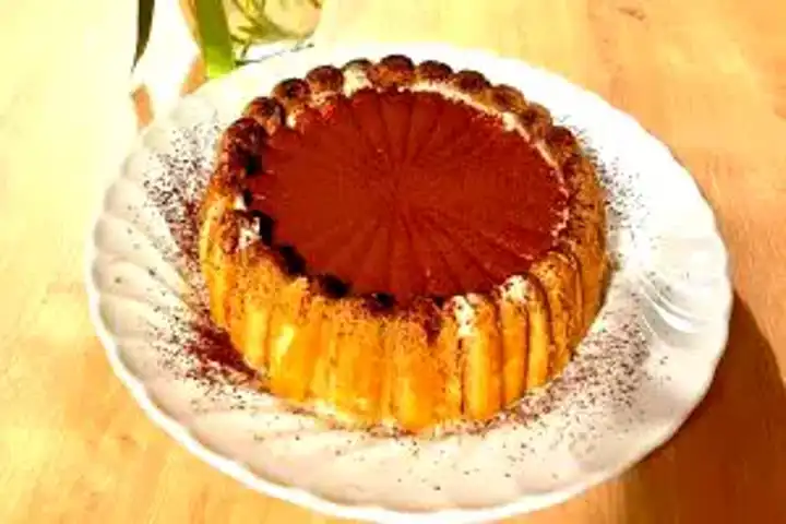 Nefis Kedidilli Tiramisu Pastası Tarifi