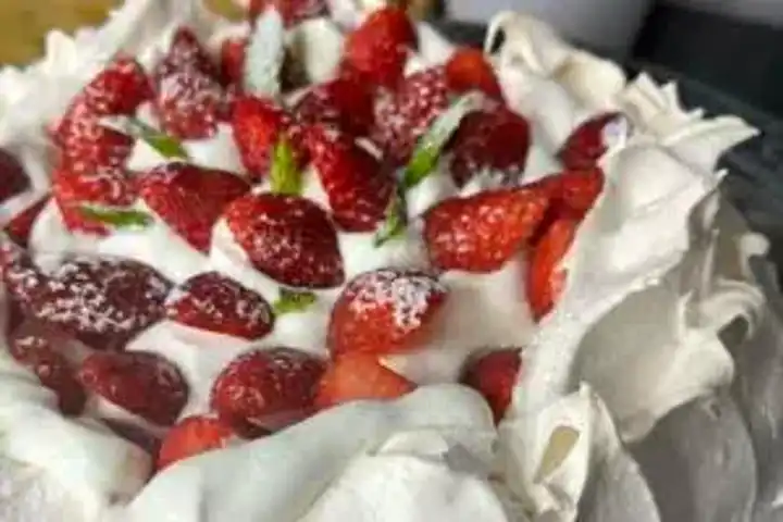 Nefis Pavlova Tarifi