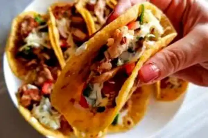 Nefis Ev Yapımı Tavuk Taco Tarifi